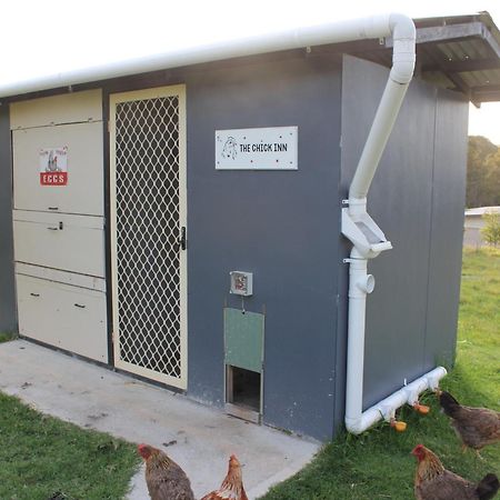 Bryn Glas Farm Stay Moruya Kültér fotó