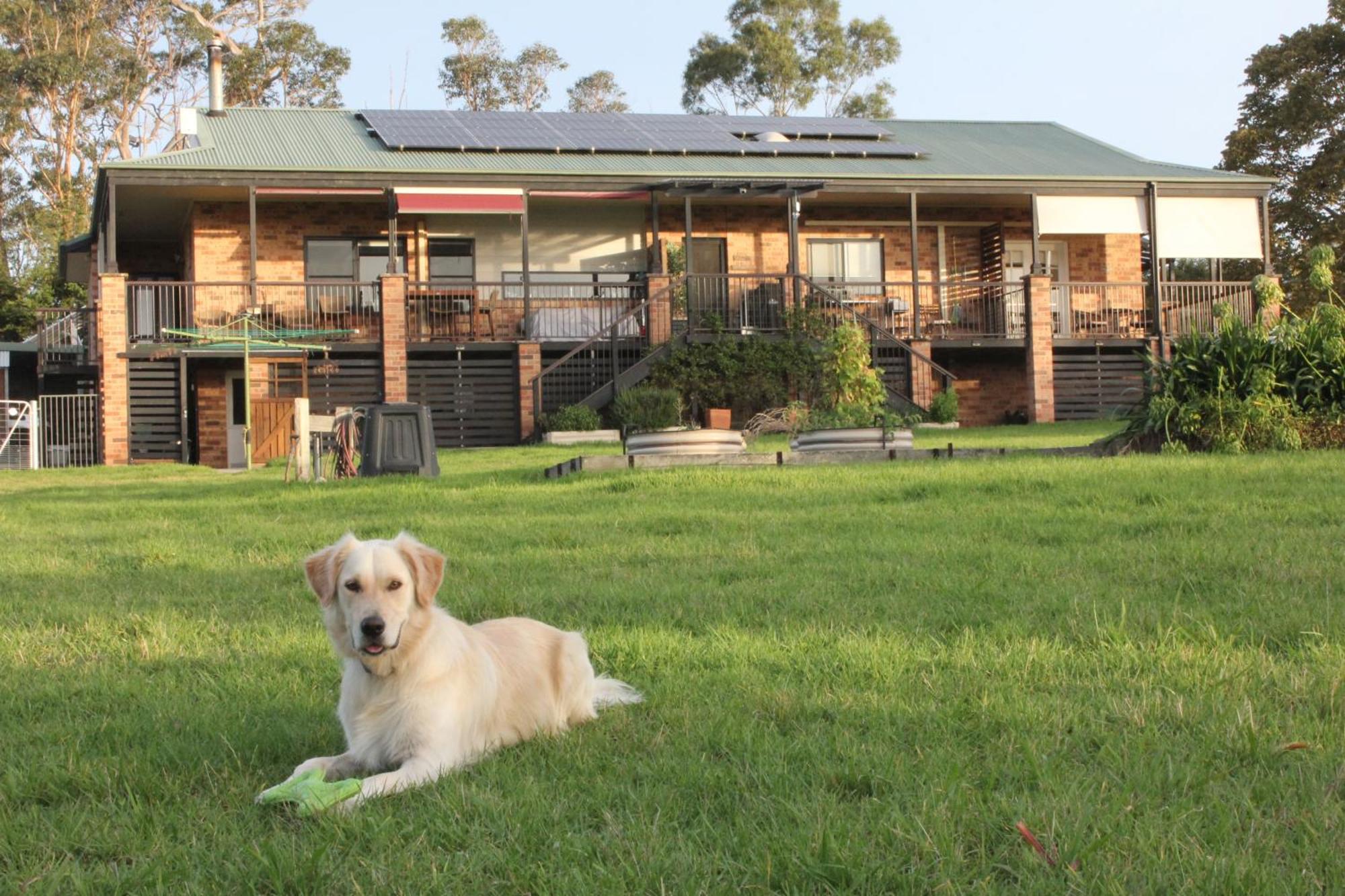 Bryn Glas Farm Stay Moruya Kültér fotó