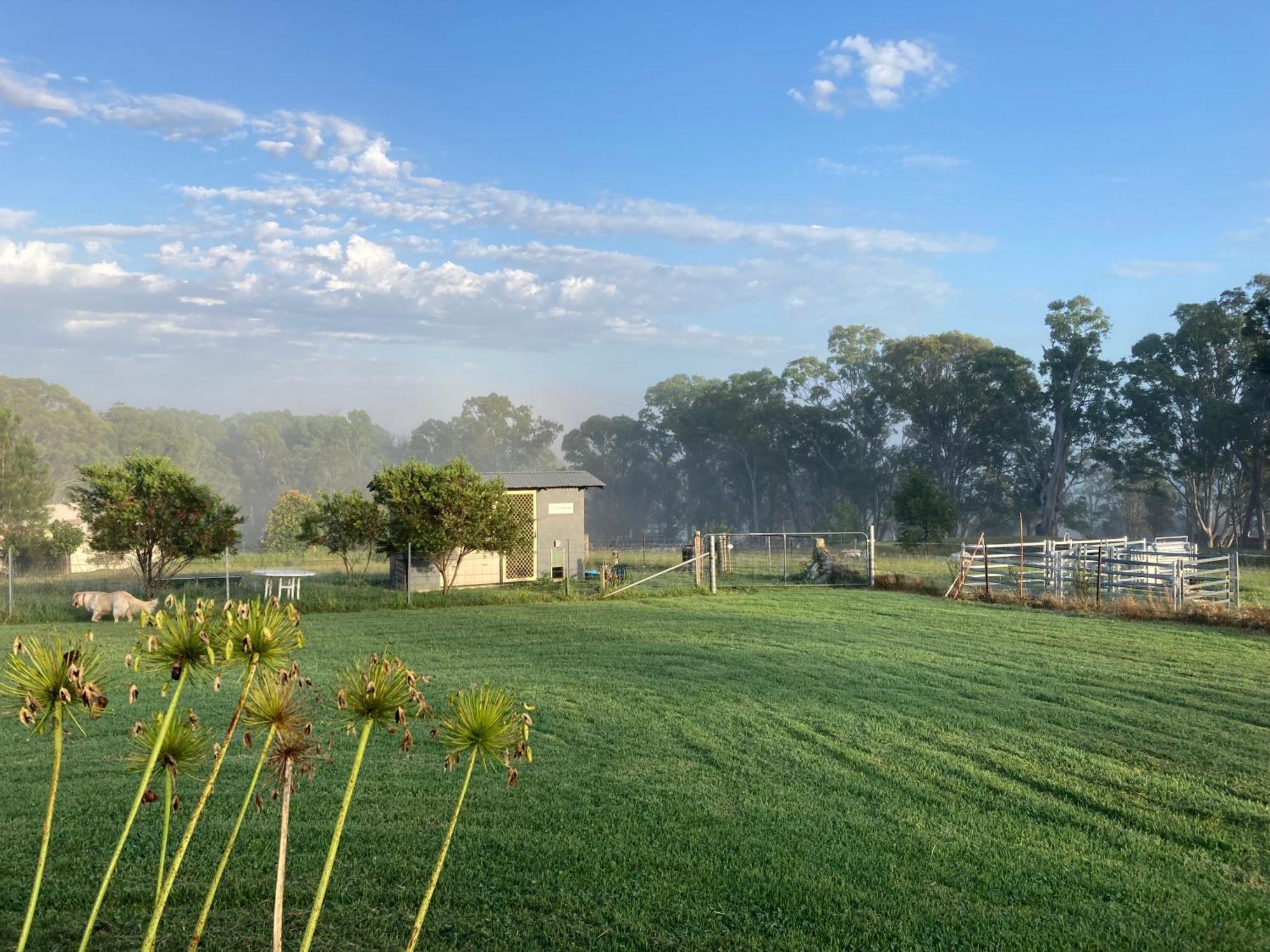Bryn Glas Farm Stay Moruya Kültér fotó