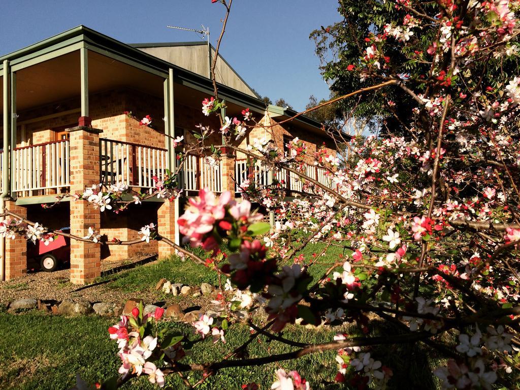 Bryn Glas Farm Stay Moruya Kültér fotó
