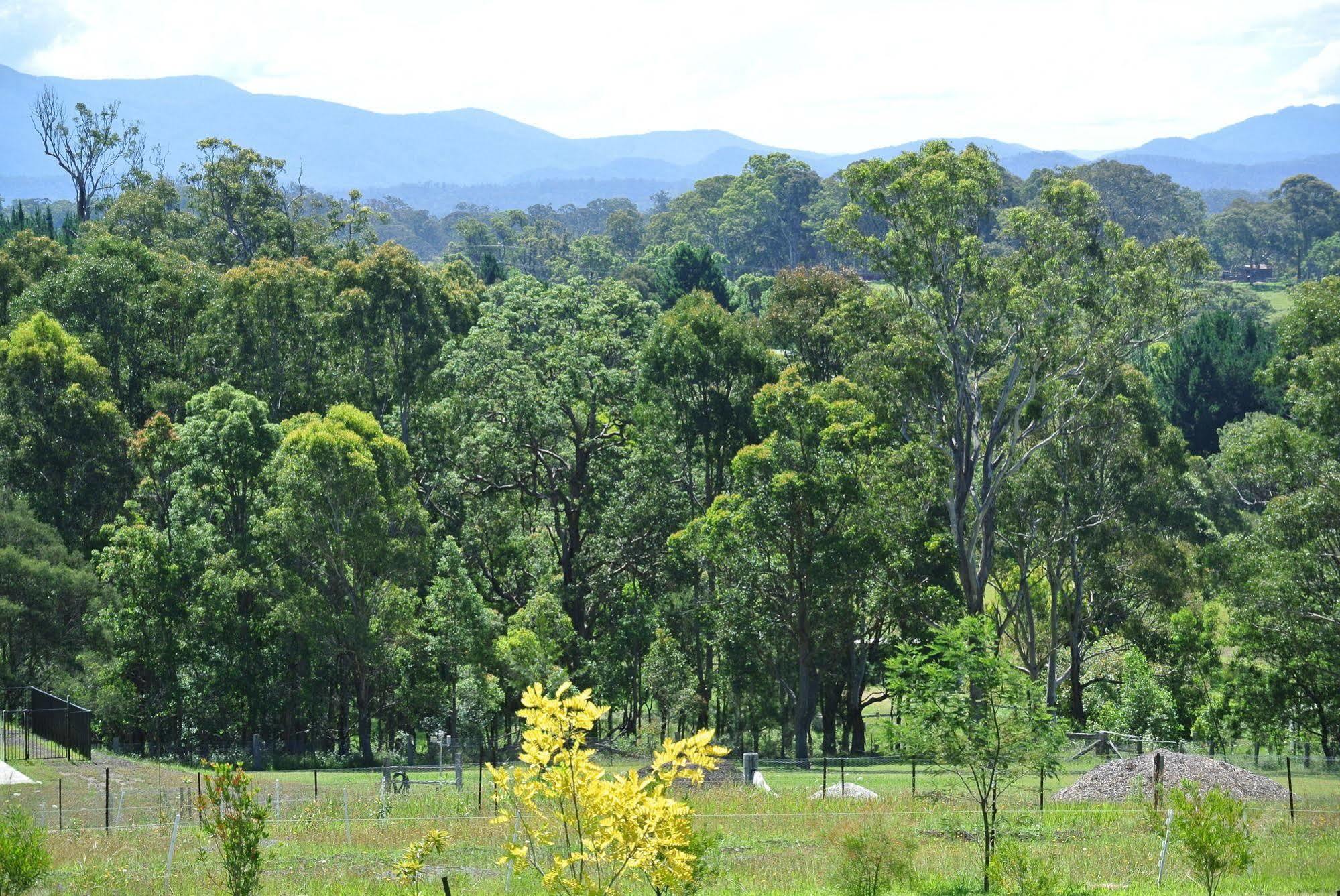Bryn Glas Farm Stay Moruya Kültér fotó