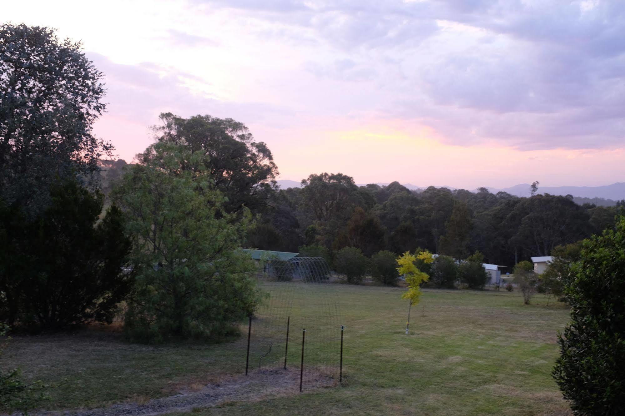 Bryn Glas Farm Stay Moruya Kültér fotó