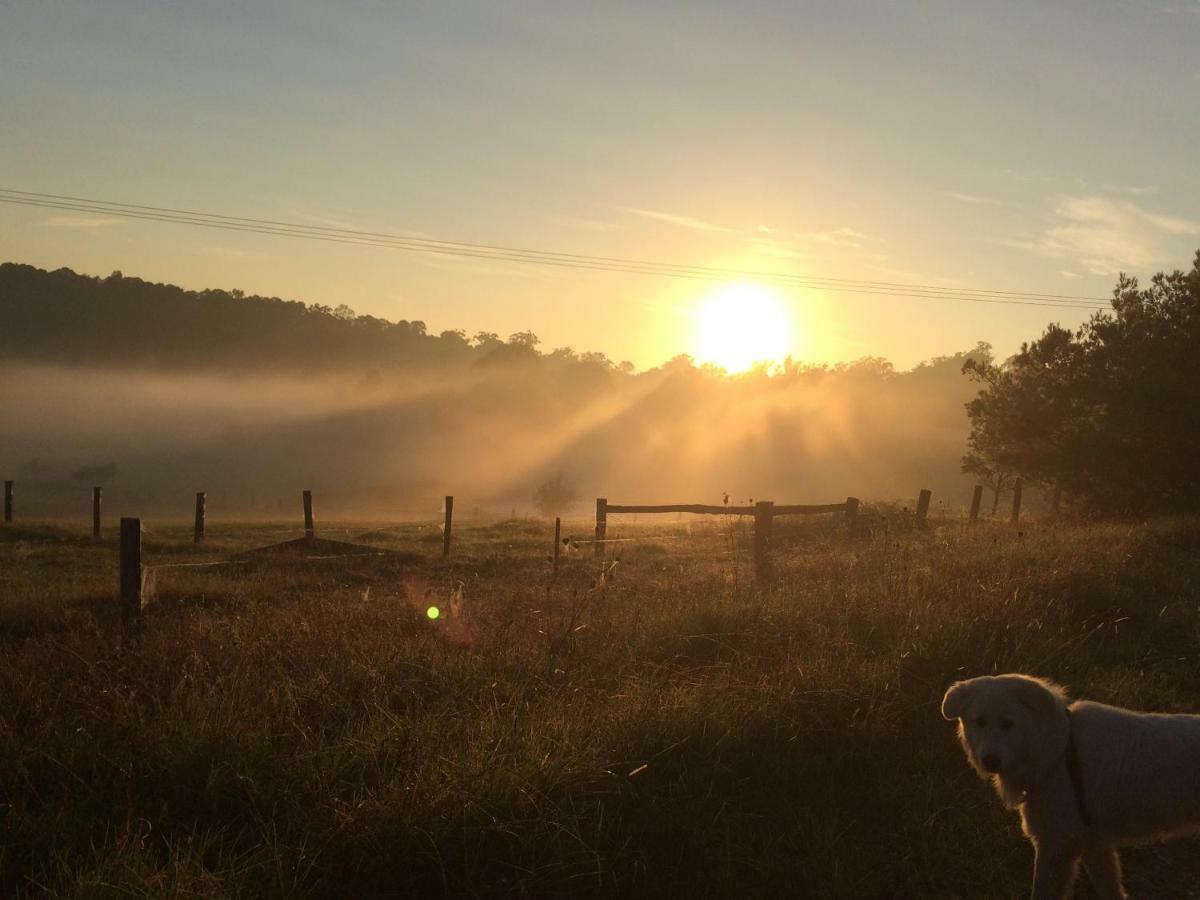 Bryn Glas Farm Stay Moruya Kültér fotó