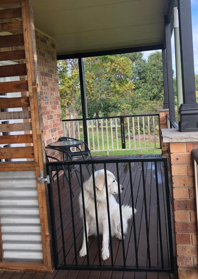 Bryn Glas Farm Stay Moruya Kültér fotó